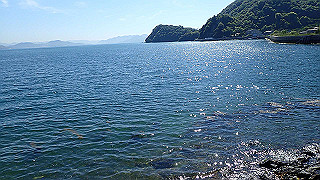 p5081170_thumb.jpg