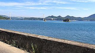 p5081171.mov_thumb.jpg