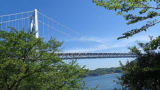 p5081173_thumb.jpg