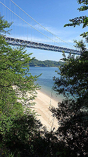 p5081174_thumb.jpg