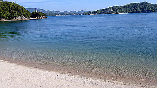 p5081179_thumb.jpg