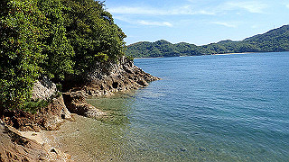 p5081183_thumb.jpg