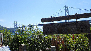 p5081186_thumb.jpg