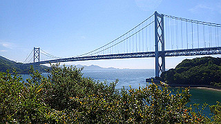 p5081188_thumb.jpg