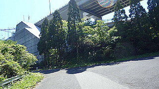 p5081191_thumb.jpg