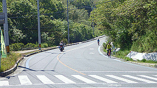 p5081194_thumb.jpg
