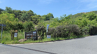 p5081195_thumb.jpg
