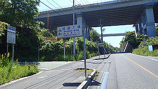 p5081196_thumb.jpg