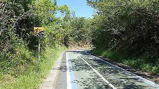 p5081197_thumb.jpg