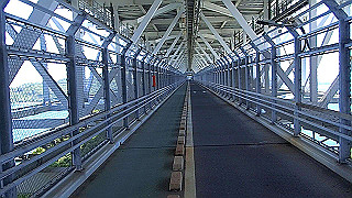 p5081204.mov_thumb.jpg