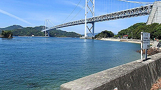 p5081212.mov_thumb.jpg
