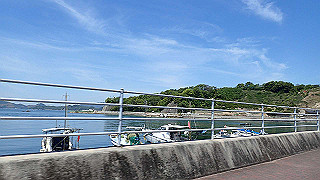 p5081219_thumb.jpg