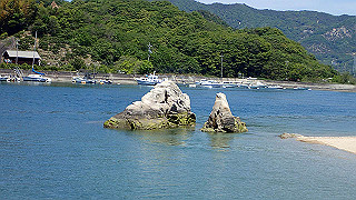 p5081226_thumb.jpg