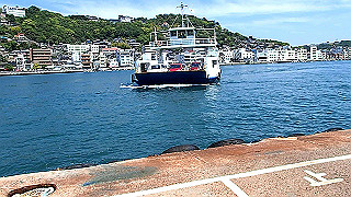 p5081236.mov_thumb.jpg