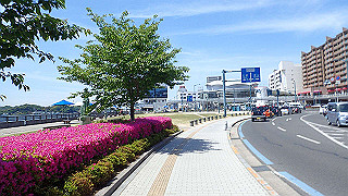 p5081247_thumb.jpg
