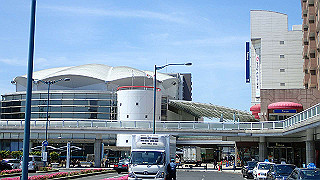 p5081253_thumb.jpg