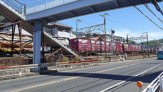 p5081259_thumb.jpg