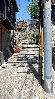 p5081262_thumb.jpg