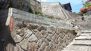 p5081264_thumb.jpg