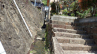 p5081266_thumb.jpg