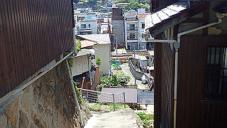 p5081269_thumb.jpg