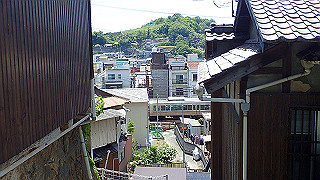 p5081270_thumb.jpg
