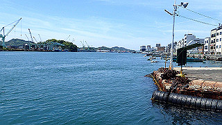 p5081275_thumb.jpg