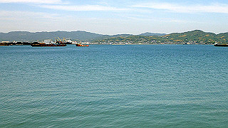 p5081291_thumb.jpg