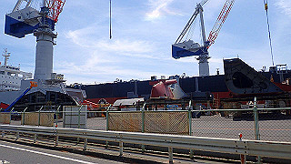 p5081302_thumb.jpg