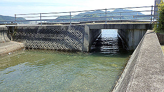 p5081310_thumb.jpg