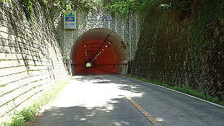 p5081317_thumb.jpg