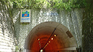 p5081318_thumb.jpg