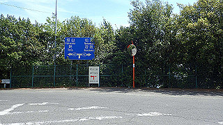 p5081324_thumb.jpg
