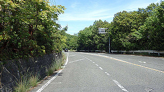 p5081325_thumb.jpg