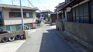 p5081326_thumb.jpg