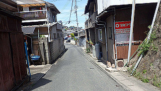 p5081327_thumb.jpg