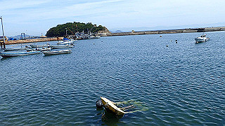p5081330_thumb.jpg