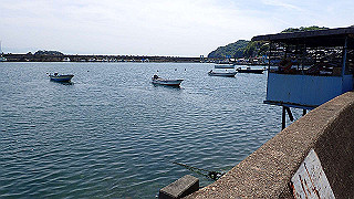 p5081332_thumb.jpg