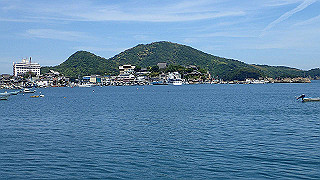 p5081337_thumb.jpg