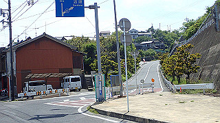 p5081339_thumb.jpg
