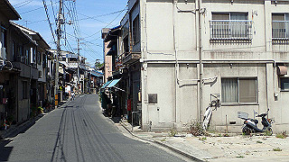 p5081340_thumb.jpg
