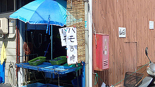 p5081342_thumb.jpg