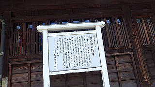 p5081346_thumb.jpg