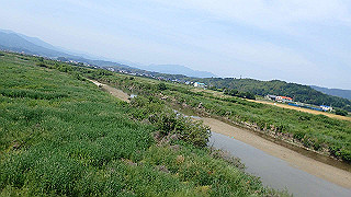 p5261397_thumb.jpg