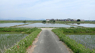 p5261403_thumb.jpg
