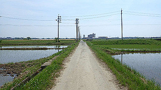p5261404_thumb.jpg