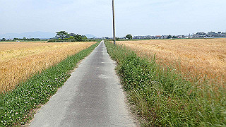 p5261406_thumb.jpg