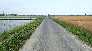 p5261407_thumb.jpg