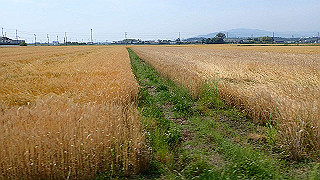 p5261408_thumb.jpg