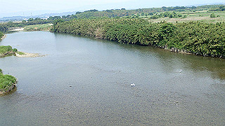 p5261414_thumb.jpg